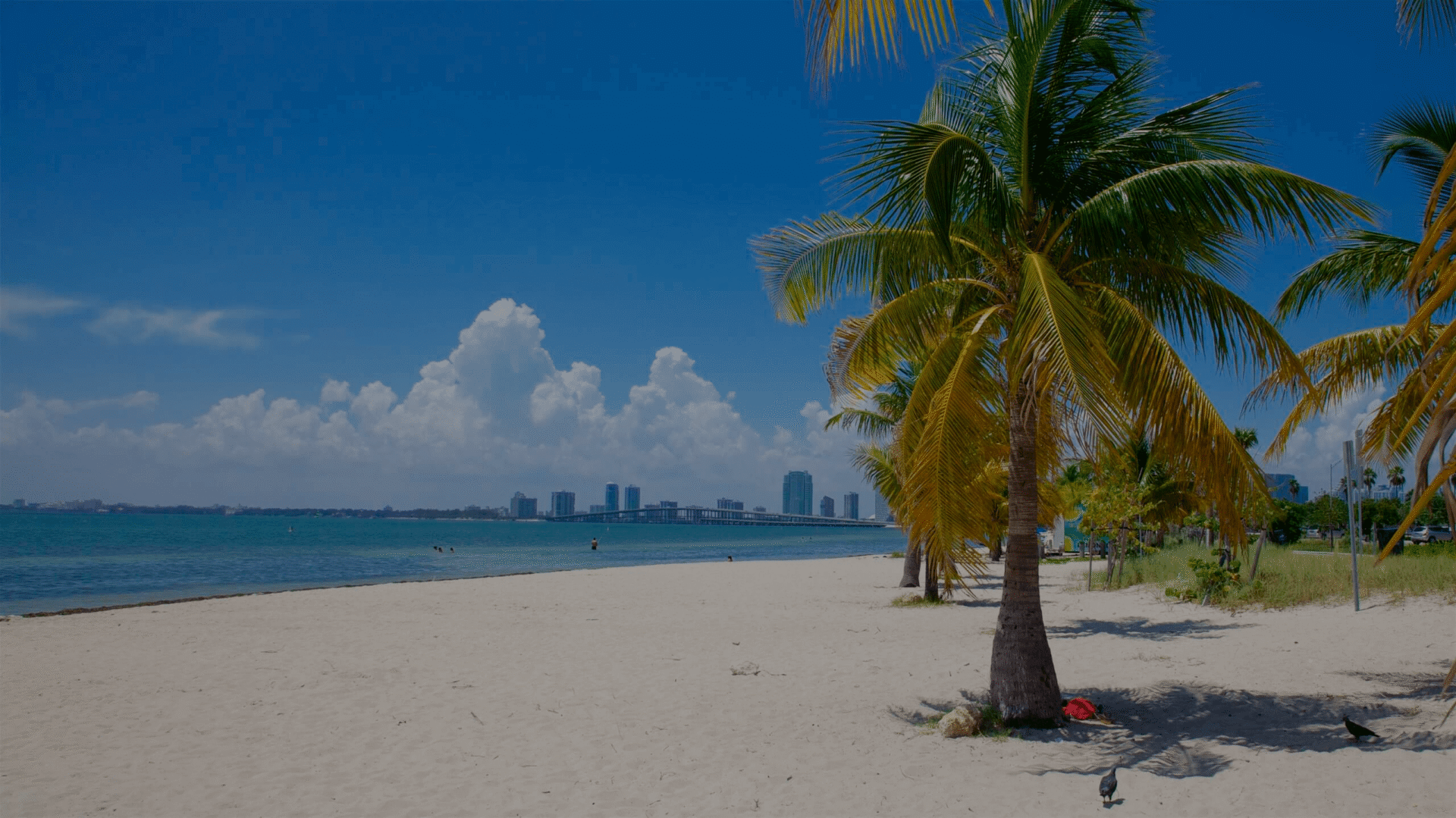 Virginia Key shoreline near Miami — county beach park on Biscayne Bay, not a sandbar anchorage
