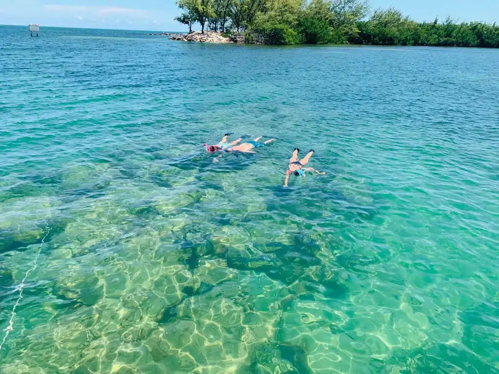 Three guests snorkeling in clear Biscayne Bay water near a mangrove island on a Miami private charter