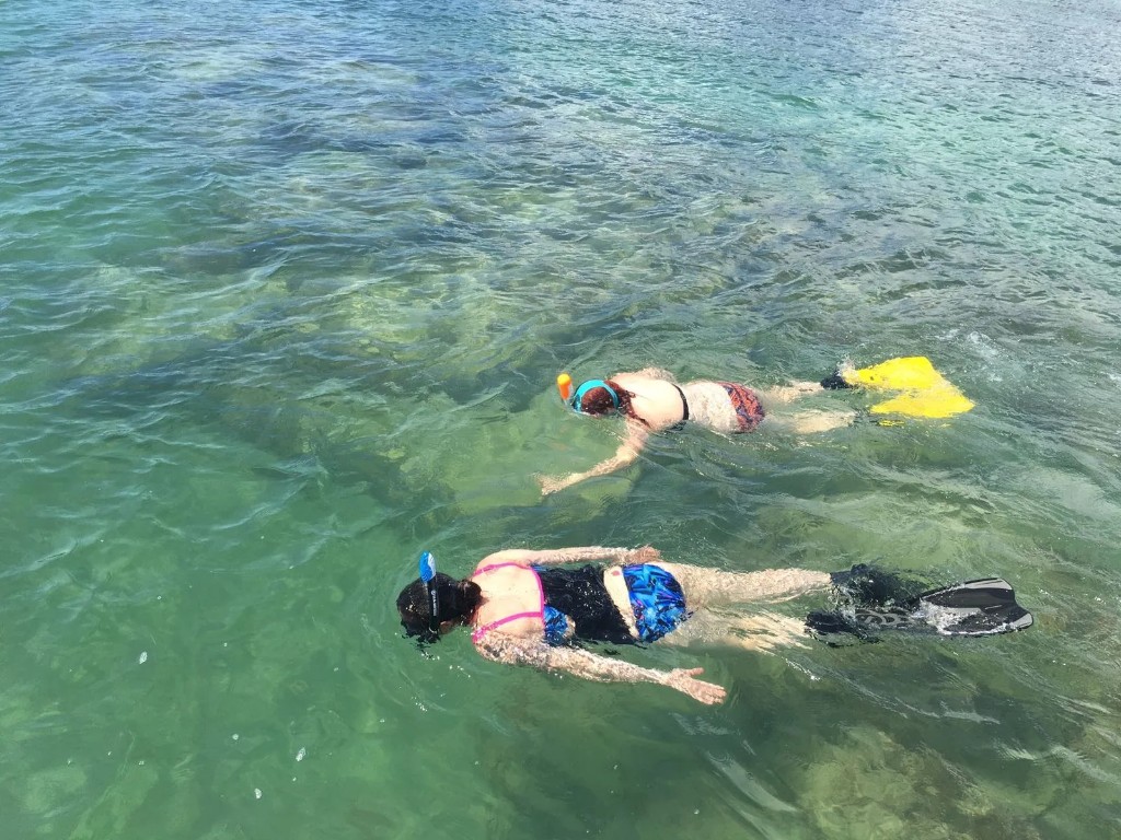 Two guests snorkeling in shallow turquoise Biscayne Bay water on a Miami private charter