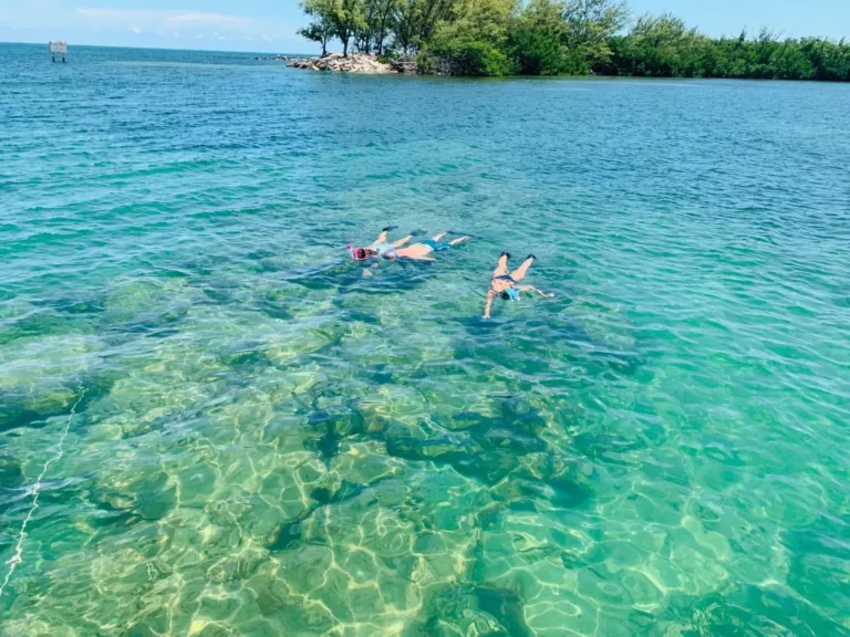 Three guests snorkeling in clear Biscayne Bay water near a mangrove island on a Miami private charter