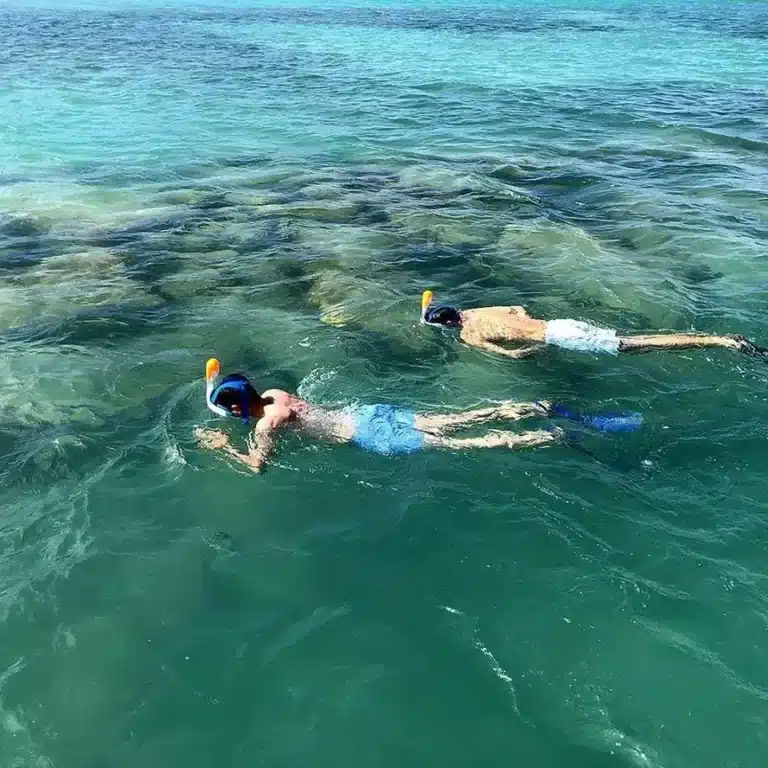 Two guests snorkeling over limestone reef structure in calm Miami bay water