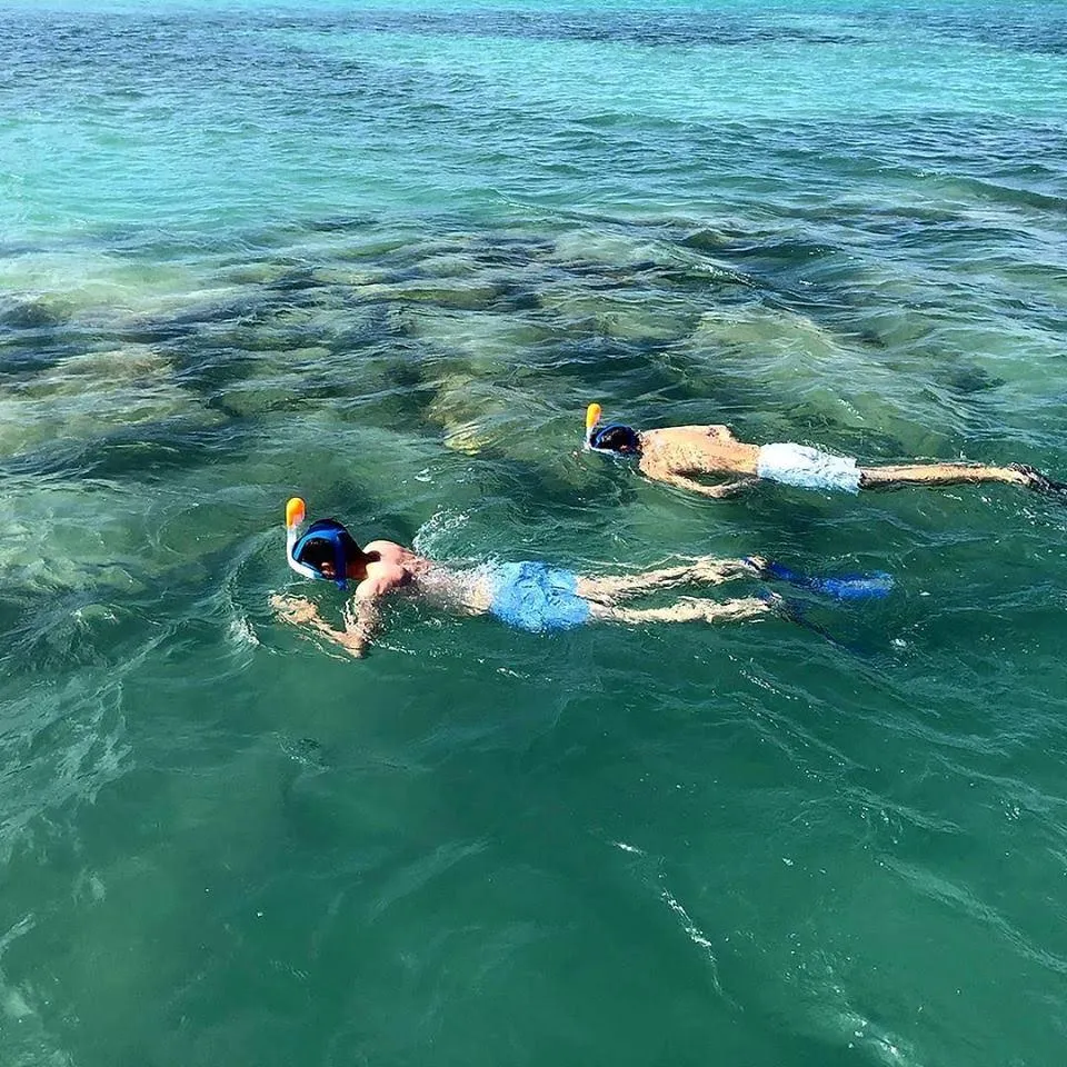 Two guests snorkeling over limestone reef structure in calm Miami bay water