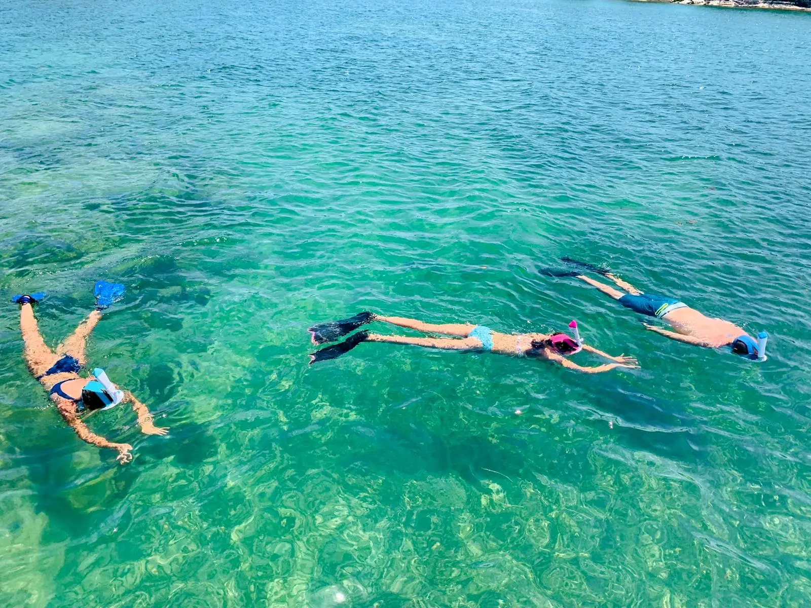 Group of guests snorkeling in turquoise water over a sandy bottom in Biscayne Bay